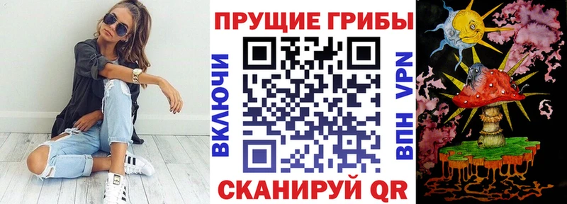 Псилоцибиновые грибы прущие грибы  наркотики  omg вход  Орёл 